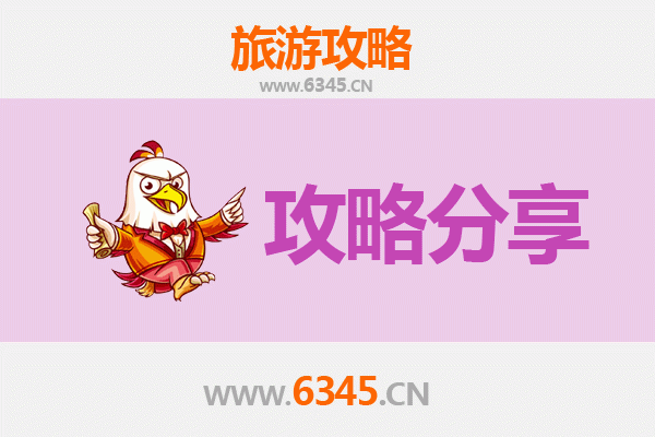 沧州沧县旅游攻略：跟团与自由行深度对比